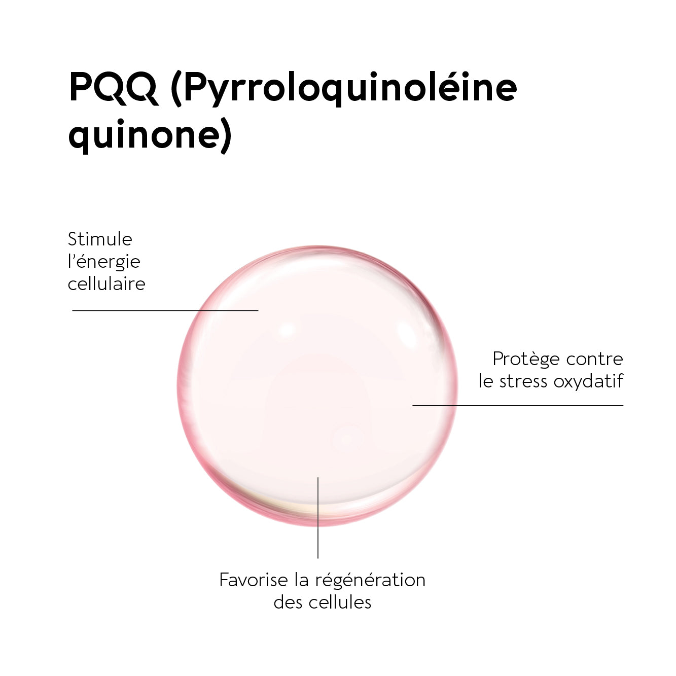 PQQ FORTE FORMAT FLASH