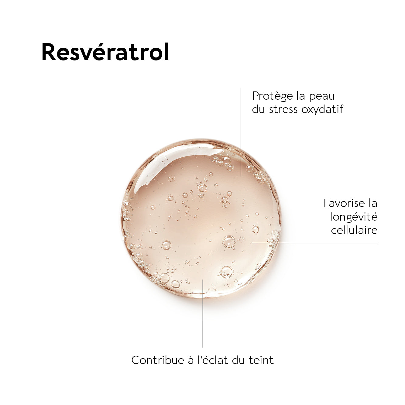 ELASTINE FORTE 500 MG