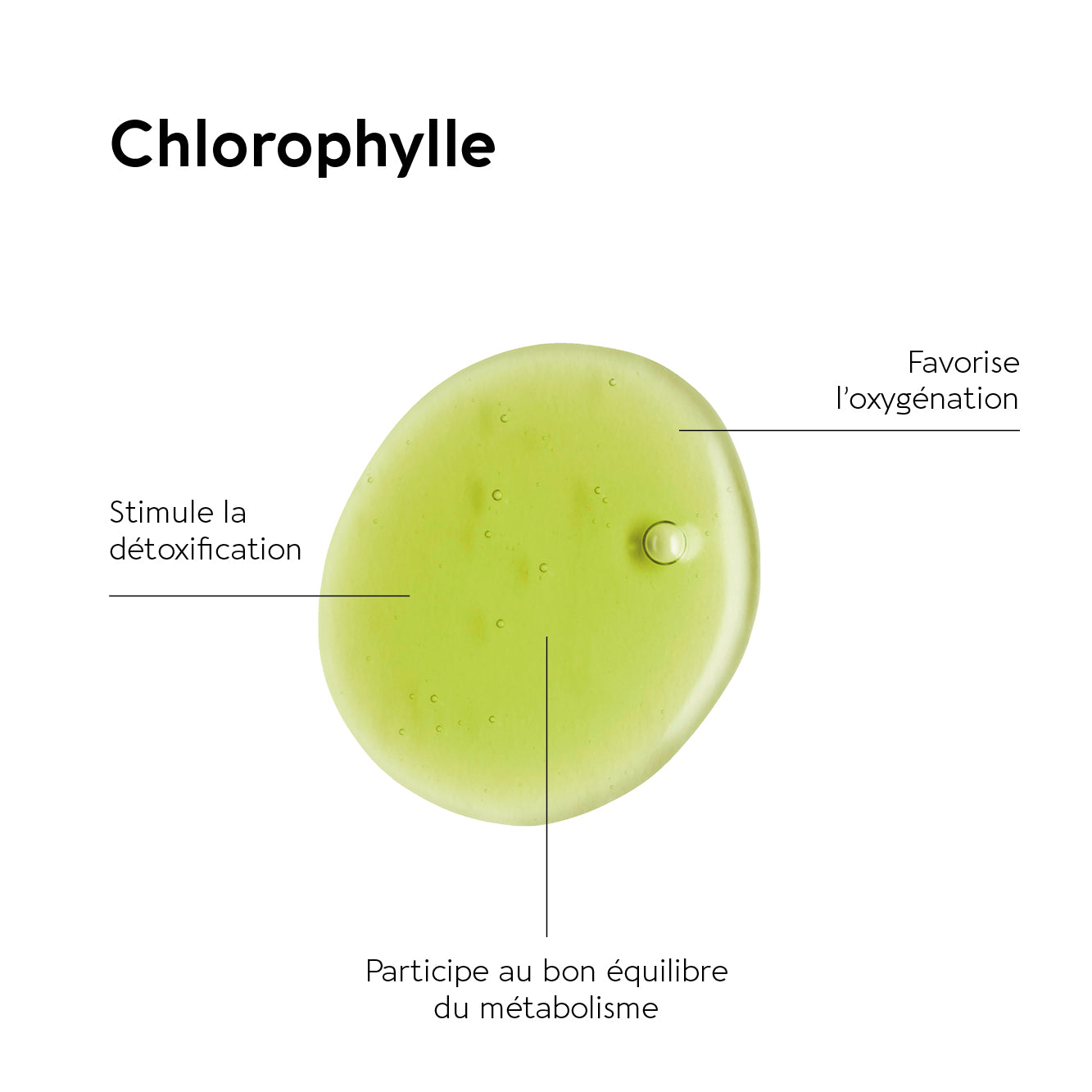 CHLOROPHYLLE