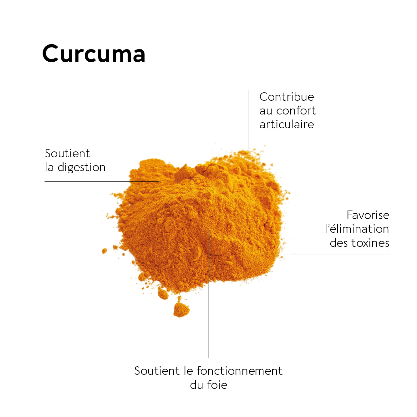 CURCUMIN FORTE LIPOSOMAL 90 GÉLULES