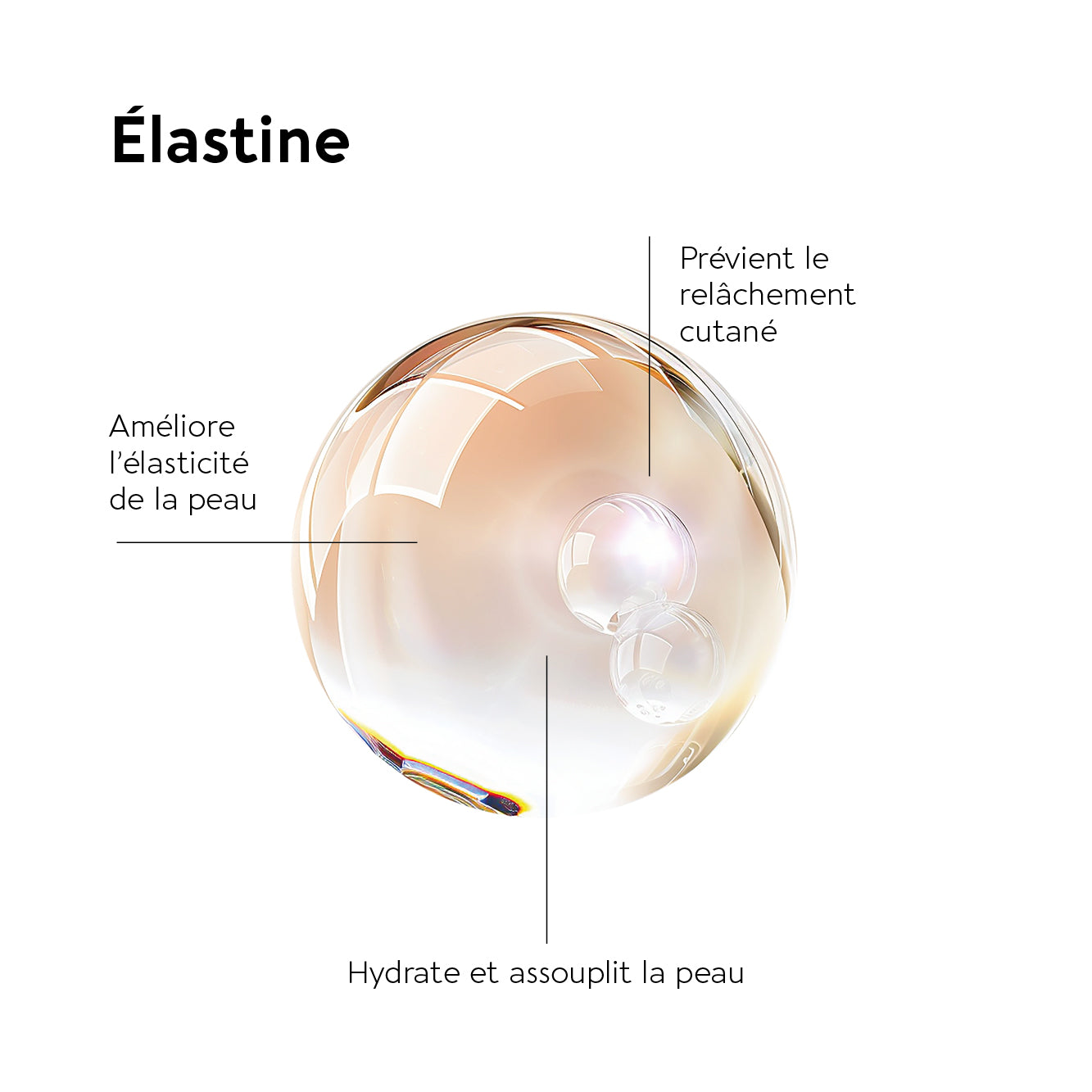 ELASTINE FORTE 500 MG