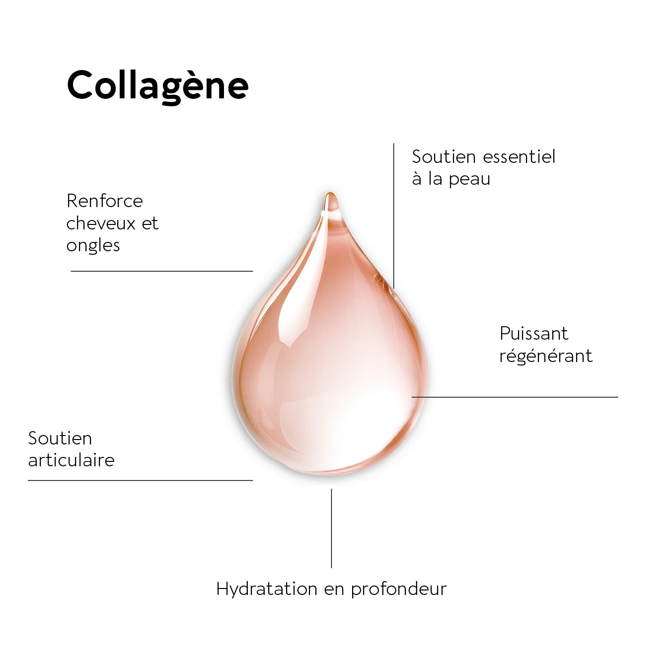 TRUFFLE COLLAGEN SHOT