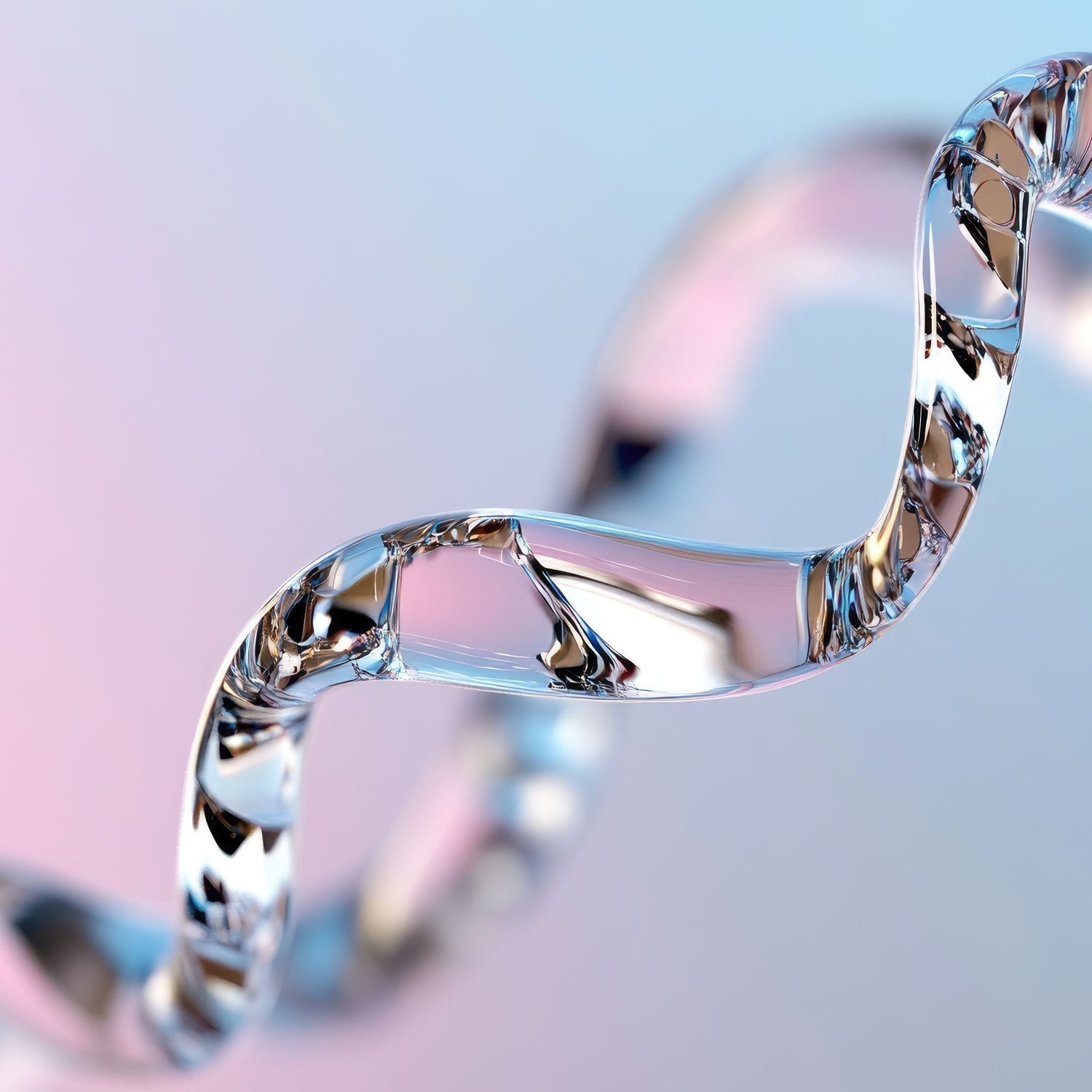 Les secrets de la longévité enfin dévoilés